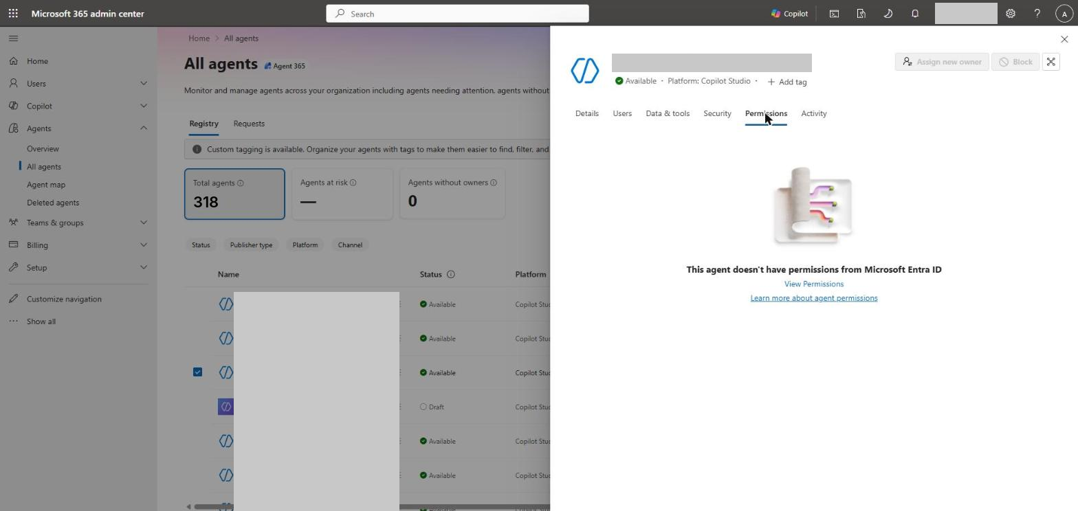 Permissions tab - this agent holds no Entra permissions of its own